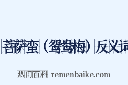 菩萨蛮（鸳鸯梅）反义词是什么意思的图片